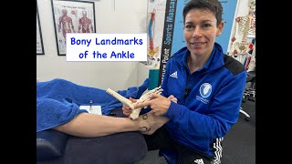 Discovering Ankle Anatomy - Key Bony Landmarks Unveiled!
