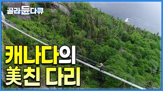 '이것이 진정한 흔들다리' 암벽을 타면 갈 수 있는 절벽 사이 출렁다리, 신이 만든 절경을 감상하려면 위험을 감수해야 하는 피오르 국립공원 트래킹ㅣ캐나다 동부 여행ㅣ#골라듄다큐