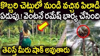 కొబ్బరిచెట్టులో నుండి వచ్చిన పిల్లాడి ఏడుపు.! అప్పుడే రమేష్ భార్య ఏం చేసిందో తెలిస్తే షాక్ అవుతారు