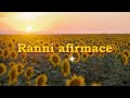 ranní afirmace ☀️ začni své ráno pozitivně ✨