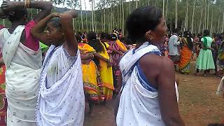 #harzastar #tribal #india SAILALEE  ,,Indian Tribal Dance,,