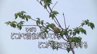 天草の四季と「どこかで春が」歌詞入り（童謡）