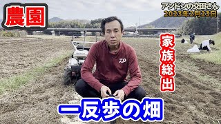 【家庭菜園・農業】300坪の畑の耕運！「ホンダ ラッキー FU650 耕うん機」！ 二時間で300坪耕運！ ジャガイモ栽培の土作り、籾殻・米ぬか・木灰・AGフミン！ 次回は鶏糞・苦土石灰を投入します！