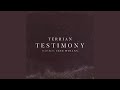Testimony