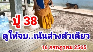 ปู่ 38#ดูให้จบ..ล่างตัวเดียวเน้นๆ#16 กรกฎาคม 2565