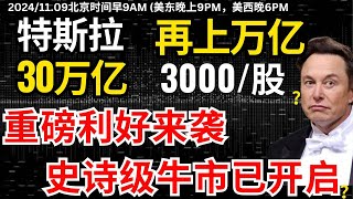 【特斯拉重磅利好】特朗普一胜选，中国马上给特斯拉开绿灯，意义深远，美银唱多并提高目标位，特斯拉的超级牛市神挡不住，犹太资本要回归加仓？#特斯拉 #美股 #股哥说美股 #tesla #马斯克 #美股复盘