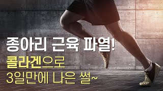 콜라겐 - 피부탄력, 운동부상, 관절염, 암환자를 위한 기특한 영양소