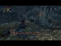 【bloodborne ブラッドボーン】 ヤーナムの影 ボス戦 攻略 　禁域の森 shadow of yharnam boss fight