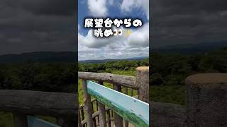 奈良県フォレストパーク神野山🌳#ハイキング#ポメラニアン#保護犬#お散歩#アウトドア#山歩き#フォレストパーク神野山#お出かけネット