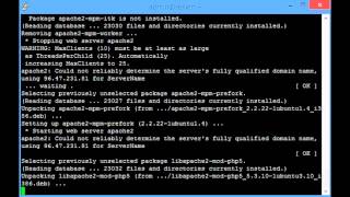 Installing Linux Apache MySQL and PHP (LAMP)