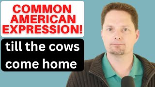 COMMON AMERICAN EXPRESSIONS: TILL THE COWS COME HOME, IN ONE FELL SWOOP, COME TO A HEAD,DREW A BLANK