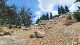 [Unity 3D] Forest Environment