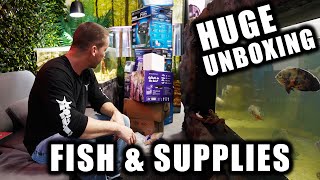 HUGE FISH STORE HAUL   Fish and supplies unboxing