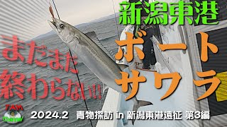 2024年 新潟東港ボートサワラ　2024青物探訪　新潟遠征第３編