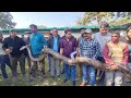 jim corbett weighs 118 kg and 22 feet long python was rescued by forest department 7017598852