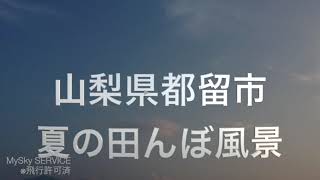 山梨県都留市「田んぼ風景を空撮」