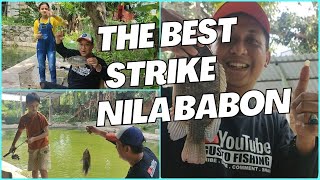 🔴 BIAR PUAS NARIK BABON IKAN NILA  #26