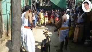 maa ghantasuni jatra (dashahara)