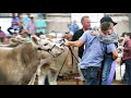 2023 Ohio State Fair Reserve Grand Champion Market Beef | Beckett Winegardner, Allen Co.