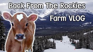 Cora Leaves the Farm - Skiing in the Canadian Rockies