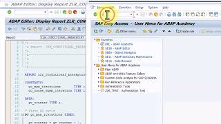 ABAP Debugger 101 - Ep8 - Endless Loop Breakpoint