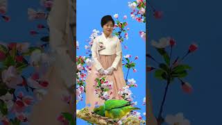 아름다운 한복beautiful hanbok