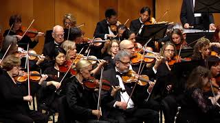 Evanston Symphony Orchestra Beethoven 7th Symphony