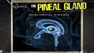 The Pineal Gland (extremely detailed explanation!)