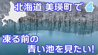 【北海道】美瑛町で凍る前の『青い池』を見たい！