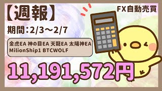 週報！驚異の1000万円超｜金虎EA　神の目EA　天龍EA　太陽神EA　双極EA　ミリオンシップ　BTC WOLF　ビットコイン　FX自動売買　爆益型　無料EA　完全放置　不労所得　分散投資　EA太郎