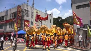 深井潮僑街坊盂蘭勝會 5