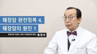 췌장암 완전정복 4, 췌장암의 원인 1