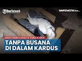 Mayat Wanita Dalam Kardus di Pondok Aren Ditemukan Tertekuk dan Tanpa Busana