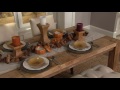 ED On Air Natural Rustic Pinecone Collection by Ellen DeGeneres on QVC