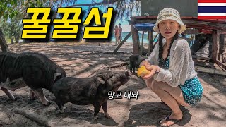 돼지들이 점령해버린 태국의 작은섬 [태국 10 / 세계여행#30]