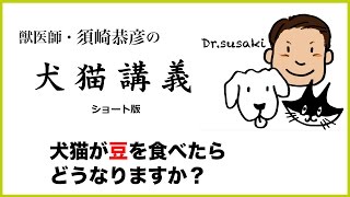 【須崎恭彦の犬猫講義】犬猫が豆を食べたらどうなりますか？