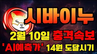 시바이누 코인  🚨  2월 10일(월) 충격속보  시바이누 'AI예측가'  14원 도달시기..   #시바이누코인