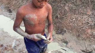 Amazing Catch Fish in Cambodia - A group boy catch Fish