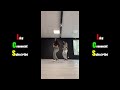 tic taa challenge dance compilation tik tok challenge