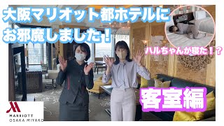 【初潜入！！】大阪マリオット都ホテルの客室にお邪魔しました！ー前編ー