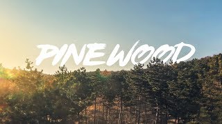 Pinewood