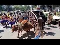 TERO BURU DEMOSTRATION IN KISUMU CITY., FORGOTTEN LUO CULTURE