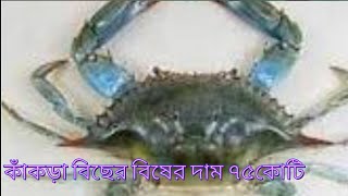 কাঁকড়া বিছের বিষের দাম ৭৫ কোটি টাকা!How come the crab poison is so expensive