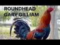 ROUNDHEAD | GARY GILLIAM | RANCHO EL TAMARINDO