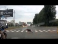 Drunk Pedestrian Fail Compilation