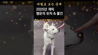 2025년 개띠에게 행운을 가져다주는 숫자\u0026 컬러! 개띠를 대박나게하는 행운의 물건! 올해는 이 물건을 꼭 챙기세요! #띠별행운, #개운법, #풍수, #띠별운세,