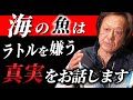 ※定説が覆ったラトル音の衝撃※ 日本のルアーフィッシングの歴史を語る（高画質化）【村田基 切り抜き】