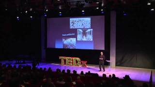 Raising pigs & problems -- saying no to antibiotics in animal feed: David Wallinga at TEDxManhattan