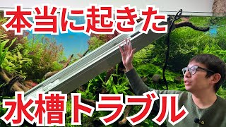 水槽の仕事で命の危険を感じた失敗談について話します