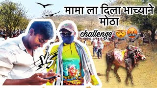 || मामा च घर उध्वस्त 🤯करण्यासाठी भाच्याने दिला मोठा challenge🤬😡||#viralvideo #bailgada #viral_video